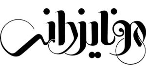 خدمات طراحی سایت اختصاصی وردپرس